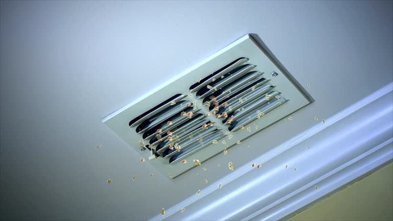 Best HVAC Air Duct Cleaning  in Pinedale, WY